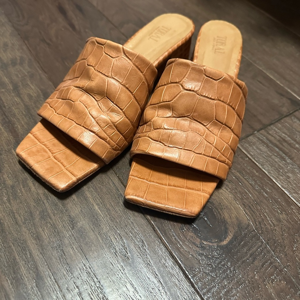 Toral Slides